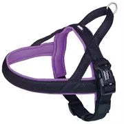 Nobby Harness - Purple M/L