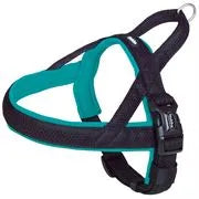 Nobby Harness - Turquoise S/M
