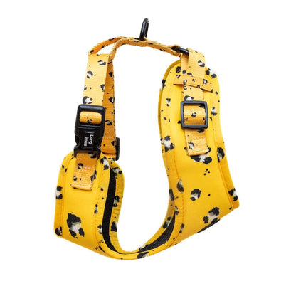 Funk The Dog Harness - Small