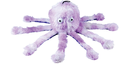 Gor Reef Octopus - Big Daddy