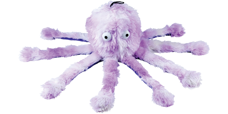 Gor Reef Octopus - Big Daddy