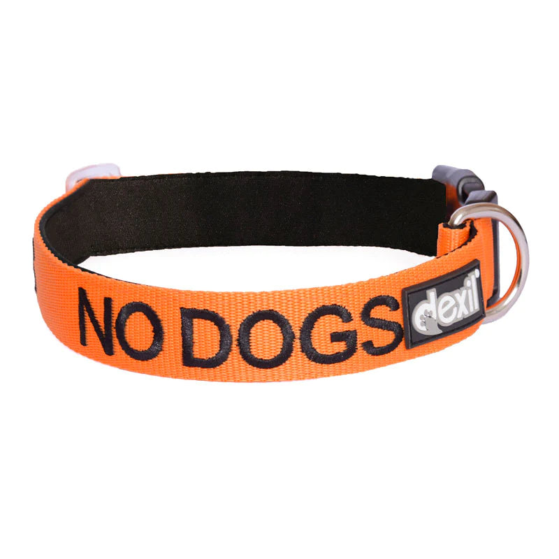 Dog Friendly Collar - S