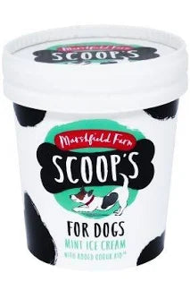 Scoops Ice Cream - Mint